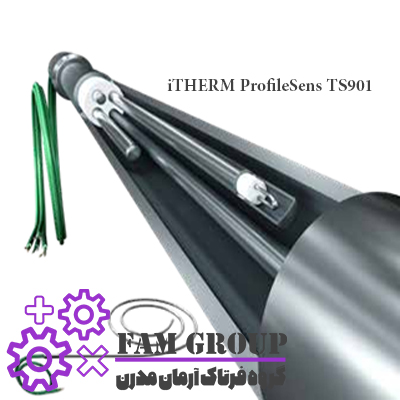 Endress+Hauser iTHERM MultiSens TMSxx and iTHERM ProfileSens TS901